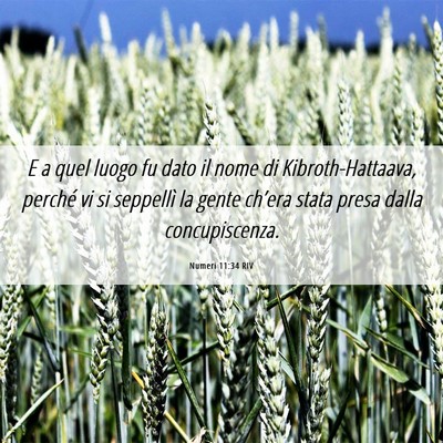 Picture 06 - Numeri 11:34 RIV - E a quel luogo fu dato il nome di - Bible Verse Picture