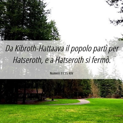 Picture 06 - Numeri 11:35 RIV - Da Kibroth-Hattaava il popolo partì per - Bible Verse Picture