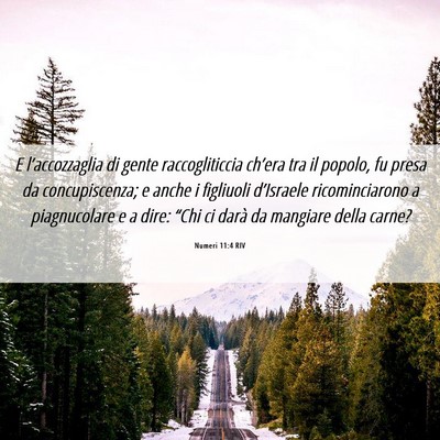 Picture 06 - Numeri 11:4 RIV - E l’accozzaglia di gente raccogliticcia - Bible Verse Picture