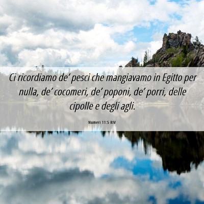 Picture 06 - Numeri 11:5 RIV - Ci ricordiamo de’ pesci che mangiavamo in - Bible Verse Picture