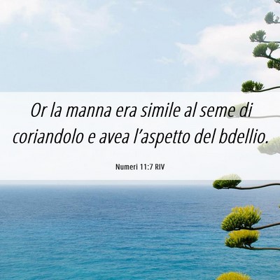 Picture 06 - Numeri 11:7 RIV - Or la manna era simile al seme di coriandolo e - Bible Verse Picture