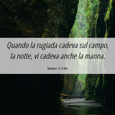 Picture 06 - Numeri 11:9 RIV - Quando la rugiada cadeva sul campo, la notte, vi - Bible Verse Picture