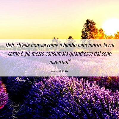 Picture 06 - Numeri 12:12 RIV - Deh, ch’ella non sia come il bimbo nato morto, - Bible Verse Picture