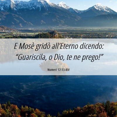 Picture 06 - Numeri 12:13 RIV - E Mosè gridò all’Eterno dicendo: - Bible Verse Picture