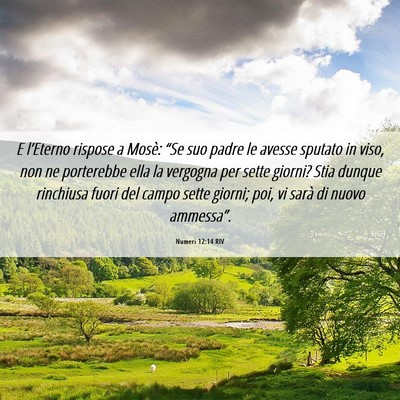Picture 06 - Numeri 12:14 RIV - E l’Eterno rispose a Mosè: “Se suo padre le - Bible Verse Picture