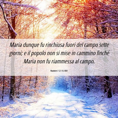 Picture 06 - Numeri 12:15 RIV - Maria dunque fu rinchiusa fuori del campo sette - Bible Verse Picture