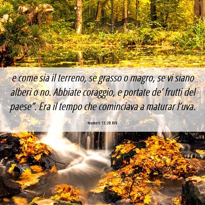 Picture 06 - Numeri 13:20 RIV - e come sia il terreno, se grasso o magro, se vi - Bible Verse Picture