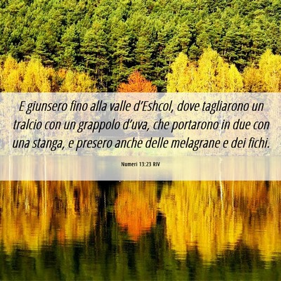Picture 06 - Numeri 13:23 RIV - E giunsero fino alla valle d’Eshcol, dove - Bible Verse Picture