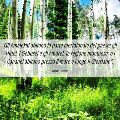 Picture 06 - Numeri 13:29 RIV - Gli Amalekiti abitano la parte meridionale del - Bible Verse Picture