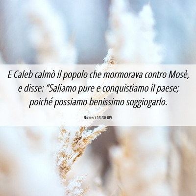 Picture 06 - Numeri 13:30 RIV - E Caleb calmò il popolo che mormorava contro - Bible Verse Picture