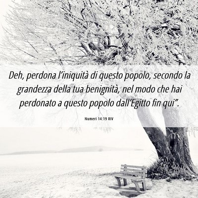 Picture 06 - Numeri 14:19 RIV - Deh, perdona l’iniquità di questo popolo, - Bible Verse Picture