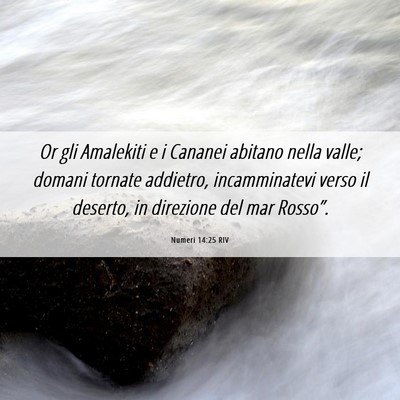 Picture 06 - Numeri 14:25 RIV - Or gli Amalekiti e i Cananei abitano nella valle; - Bible Verse Picture