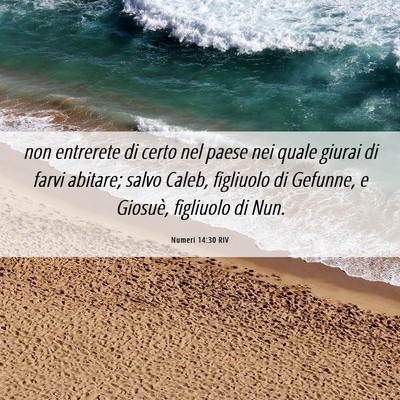 Picture 06 - Numeri 14:30 RIV - non entrerete di certo nel paese nei quale giurai - Bible Verse Picture