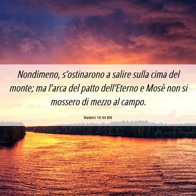 Picture 06 - Numeri 14:44 RIV - Nondimeno, s’ostinarono a salire sulla cima del - Bible Verse Picture