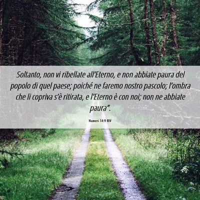 Picture 06 - Numeri 14:9 RIV - Soltanto, non vi ribellate all’Eterno, e non - Bible Verse Picture