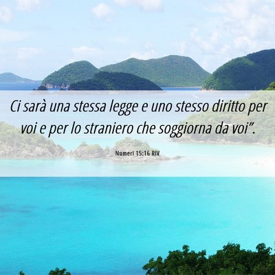 Picture 06 - Numeri 15:16 RIV - Ci sarà una stessa legge e uno stesso diritto - Bible Verse Picture