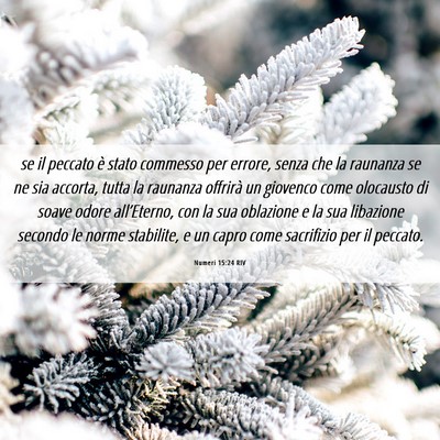 Picture 06 - Numeri 15:24 RIV - se il peccato è stato commesso per errore, senza - Bible Verse Picture