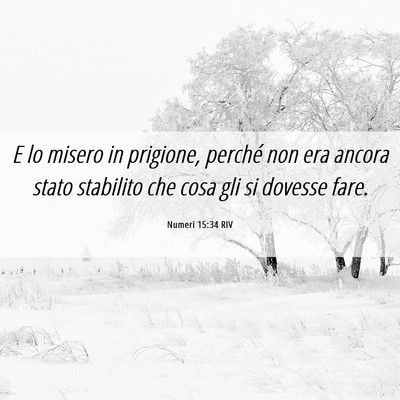 Picture 06 - Numeri 15:34 RIV - E lo misero in prigione, perché non era ancora - Bible Verse Picture