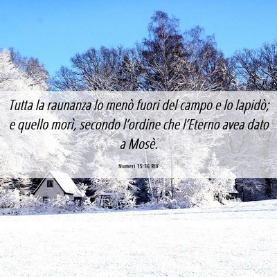 Picture 06 - Numeri 15:36 RIV - Tutta la raunanza lo menò fuori del campo e lo - Bible Verse Picture