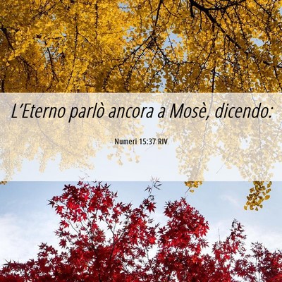 Picture 06 - Numeri 15:37 RIV - L’Eterno parlò ancora a Mosè, - Bible Verse Picture