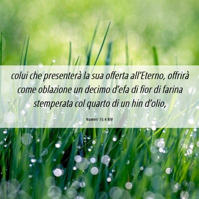 Picture 06 - Numeri 15:4 RIV - colui che presenterà la sua offerta - Bible Verse Picture