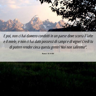 Picture 06 - Numeri 16:14 RIV - E poi, non ci hai davvero condotti in un paese - Bible Verse Picture