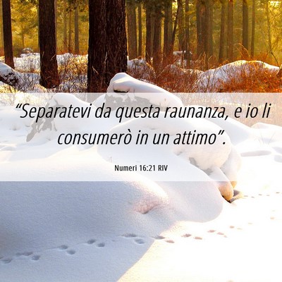 Picture 06 - Numeri 16:21 RIV - “Separatevi da questa raunanza, e io li - Bible Verse Picture