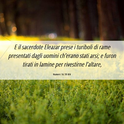 Picture 06 - Numeri 16:39 RIV - E il sacerdote Eleazar prese i turiboli di rame - Bible Verse Picture