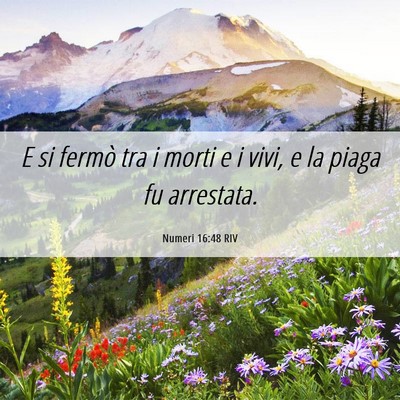 Picture 06 - Numeri 16:48 RIV - E si fermò tra i morti e i vivi, e la piaga fu - Bible Verse Picture