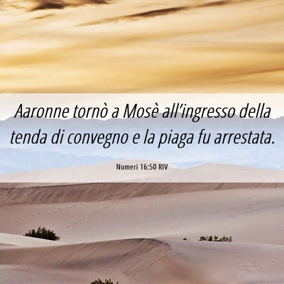 Picture 06 - Numeri 16:50 RIV - Aaronne tornò a Mosè all’ingresso della tenda - Bible Verse Picture