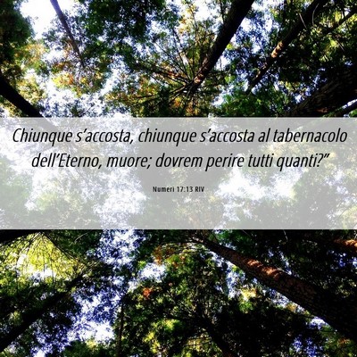 Picture 06 - Numeri 17:13 RIV - Chiunque s’accosta, chiunque s’accosta al - Bible Verse Picture