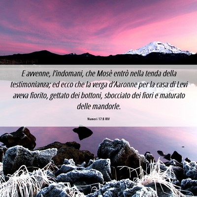 Picture 06 - Numeri 17:8 RIV - E avvenne, l’indomani, che Mosè entrò nella - Bible Verse Picture