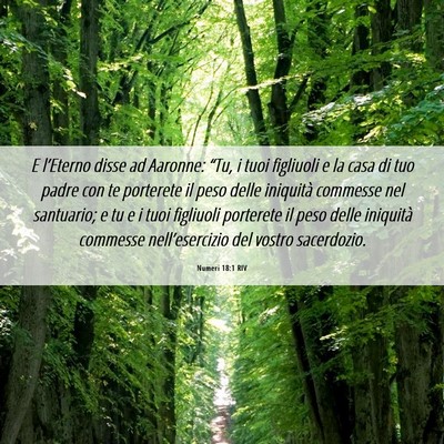Picture 06 - Numeri 18:1 RIV - E l’Eterno disse ad Aaronne: “Tu, i tuoi - Bible Verse Picture