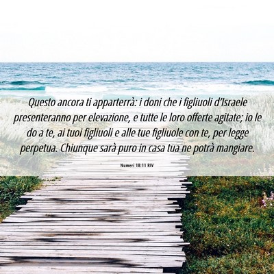 Picture 06 - Numeri 18:11 RIV - Questo ancora ti apparterrà: i doni che i - Bible Verse Picture