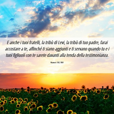 Picture 06 - Numeri 18:2 RIV - E anche i tuoi fratelli, la tribù di Levi, la - Bible Verse Picture