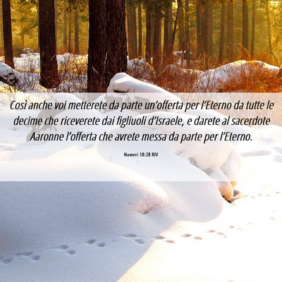 Picture 06 - Numeri 18:28 RIV - Così anche voi metterete da parte un’offerta - Bible Verse Picture