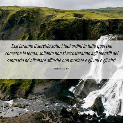 Picture 06 - Numeri 18:3 RIV - Essi faranno il servizio sotto i tuoi ordini in - Bible Verse Picture