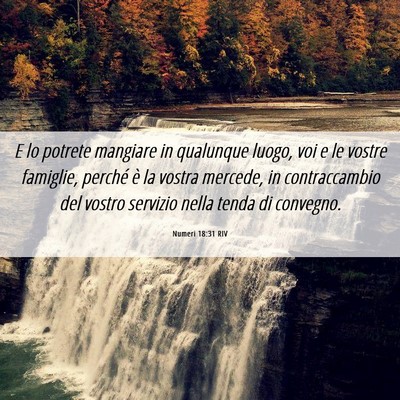 Picture 06 - Numeri 18:31 RIV - E lo potrete mangiare in qualunque luogo, voi e - Bible Verse Picture