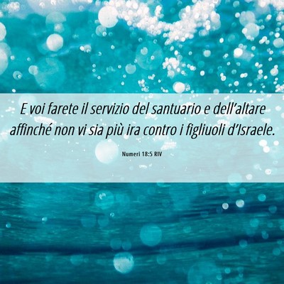Picture 06 - Numeri 18:5 RIV - E voi farete il servizio del santuario e - Bible Verse Picture
