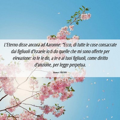 Picture 06 - Numeri 18:8 RIV - L’Eterno disse ancora ad Aaronne: “Ecco, di - Bible Verse Picture