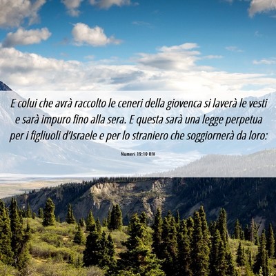 Picture 06 - Numeri 19:10 RIV - E colui che avrà raccolto le ceneri della - Bible Verse Picture
