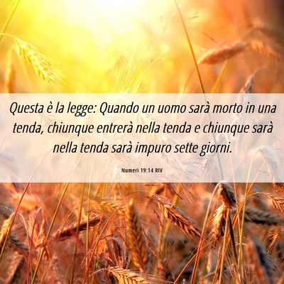 Picture 06 - Numeri 19:14 RIV - Questa è la legge: Quando un uomo sarà morto in - Bible Verse Picture