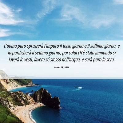 Picture 06 - Numeri 19:19 RIV - L’uomo puro spruzzerà l’impuro il terzo - Bible Verse Picture