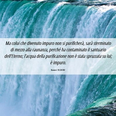 Picture 06 - Numeri 19:20 RIV - Ma colui che divenuto impuro non si purificherà, - Bible Verse Picture