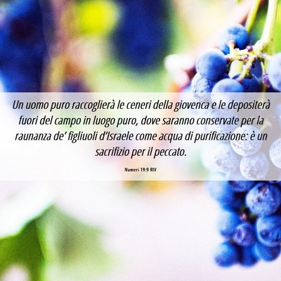 Picture 06 - Numeri 19:9 RIV - Un uomo puro raccoglierà le ceneri della - Bible Verse Picture