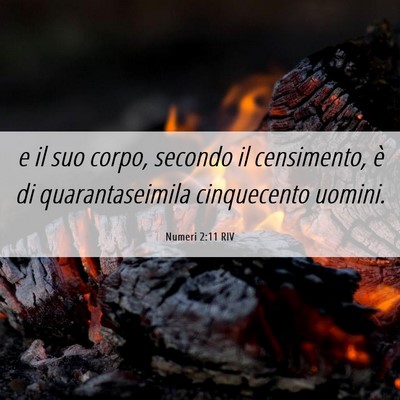 Picture 06 - Numeri 2:11 RIV - e il suo corpo, secondo il censimento, è di - Bible Verse Picture