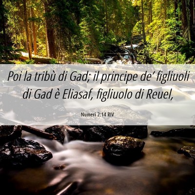 Picture 06 - Numeri 2:14 RIV - Poi la tribù di Gad; il principe de’ figliuoli - Bible Verse Picture