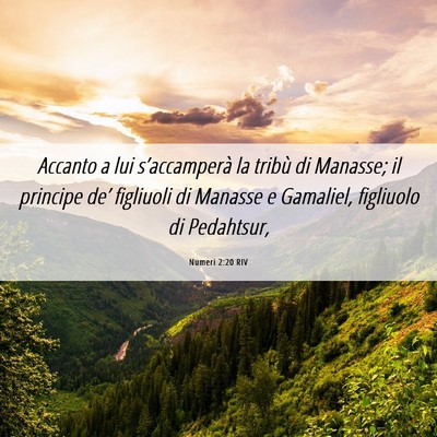 Picture 06 - Numeri 2:20 RIV - Accanto a lui s’accamperà la tribù di - Bible Verse Picture