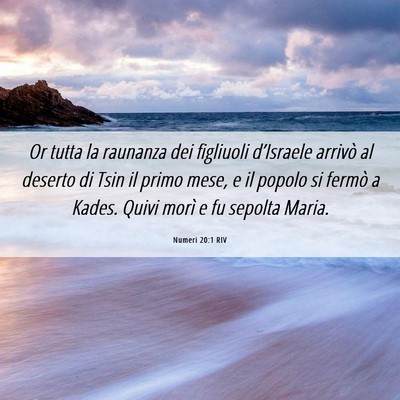 Picture 06 - Numeri 20:1 RIV - Or tutta la raunanza dei figliuoli d’Israele - Bible Verse Picture