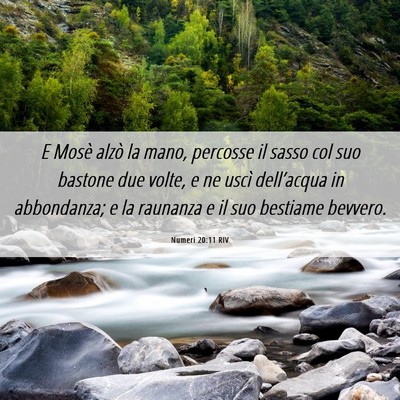 Picture 06 - Numeri 20:11 RIV - E Mosè alzò la mano, percosse il sasso col suo - Bible Verse Picture